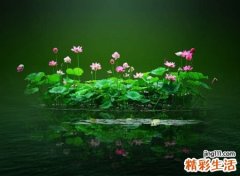 简单气质的妈妈网名