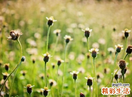 好听的微信二字网名