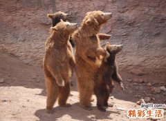 幽默的搞怪网名