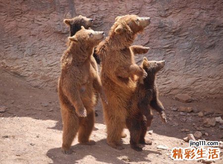 幽默的搞怪网名