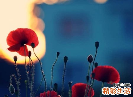 心死的网名