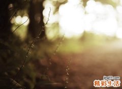 绝望的伤心微信名字