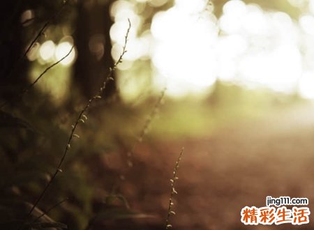 绝望的伤心微信名字