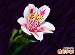 积极向上的昵称