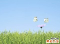 古风意境名字微信版