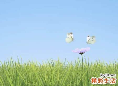 古风意境名字微信版