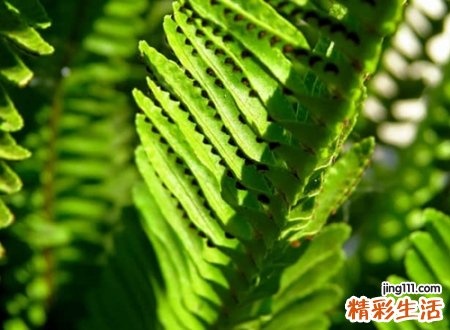 霸气有担当的微信名字