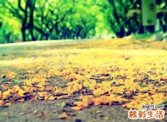 好听的葬爱网名