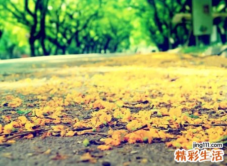 好听的葬爱网名
