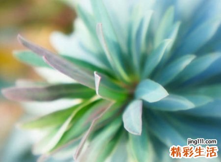 古风网名两个字版