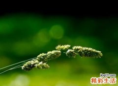 能让你爆笑的奇葩网名