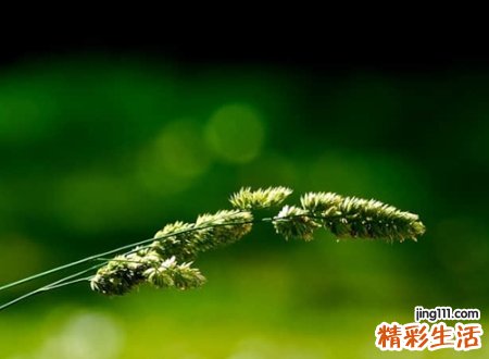 能让你爆笑的奇葩网名