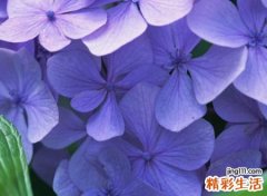 非主流另类欧美网名