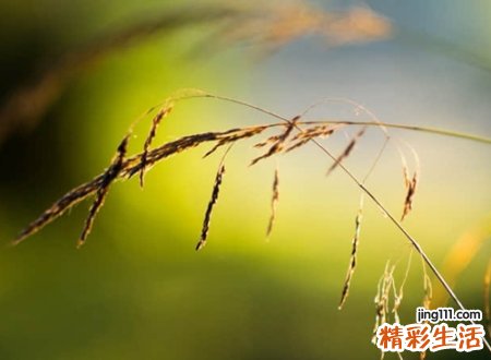 让人想哭伤感的网名