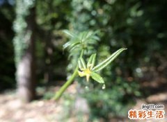 心痛绝望的网名英文版