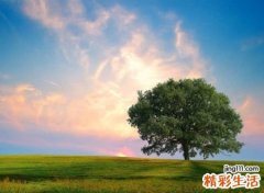 四字网名霸气版