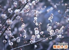 2018最火爆微信昵称