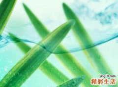 2021最有骨气的网名