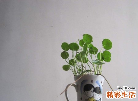 qq名称大全
