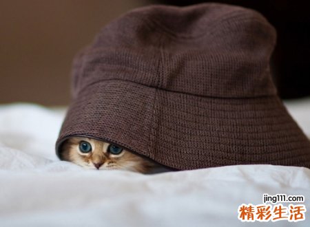 2021最帅的网名