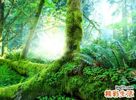 2021最渣的网名