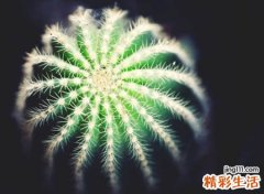 带贤字100分的名字