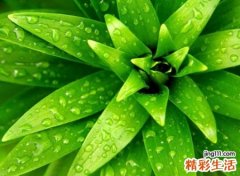 韩国好听的名字