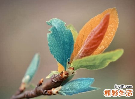 带君字有内涵的名字