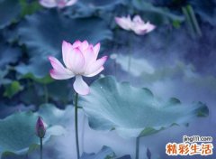山海经里唯美的名字