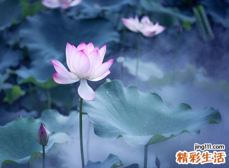 山海经里唯美的名字