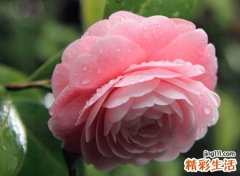 带颖字的高分名字