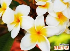 带暖字有诗意的名字