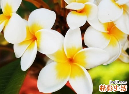 带暖字有诗意的名字