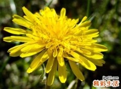 有诗意的秋天的名字
