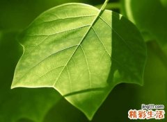 齐姓最吉利的名字