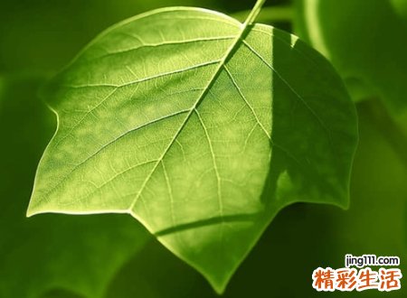 齐姓最吉利的名字