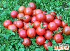水果店的名字
