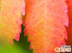 带秋字的高雅的名字