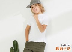 带嘉字的男孩名字