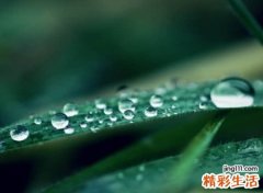 和妤字搭配的名字