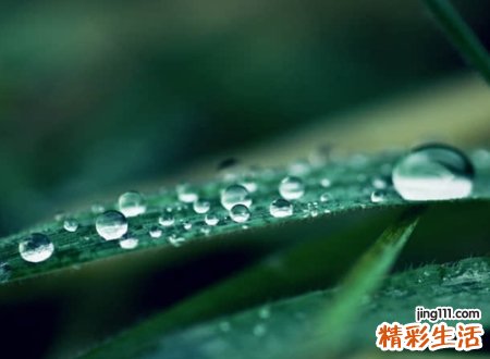 和妤字搭配的名字