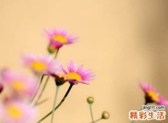 五行属木的名字