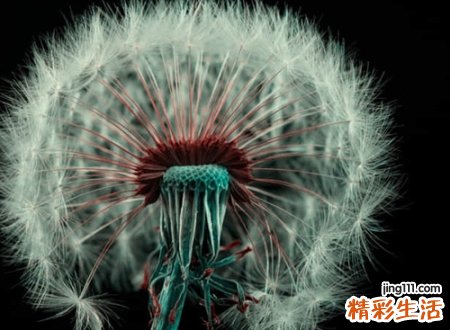 带有鸿字的大气名字