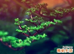 带晏有寓意的名字