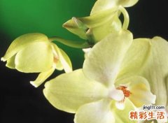 王姓好听的名字