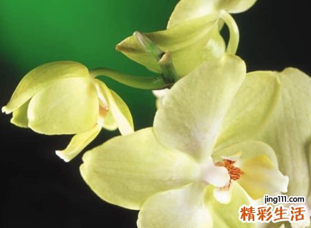 王姓好听的名字