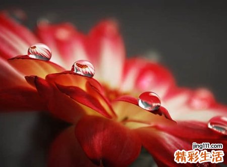 带墨的名字