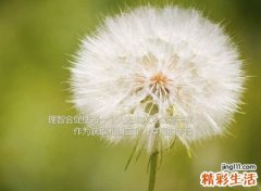 带成字的霸气名字大全