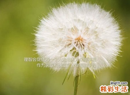带成字的霸气名字大全