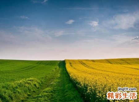 游戏名字两字版